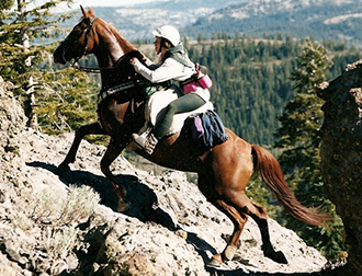 ENDURANCE ENDURANCE